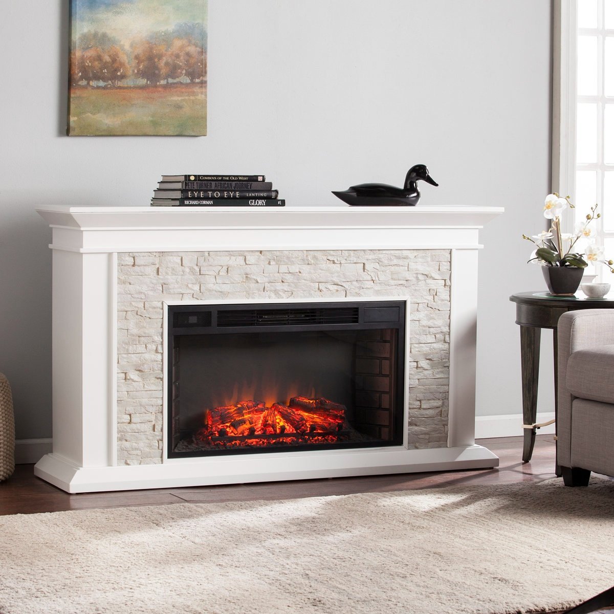 Ceonna Electric Fireplace Winston Porter Finish-19938