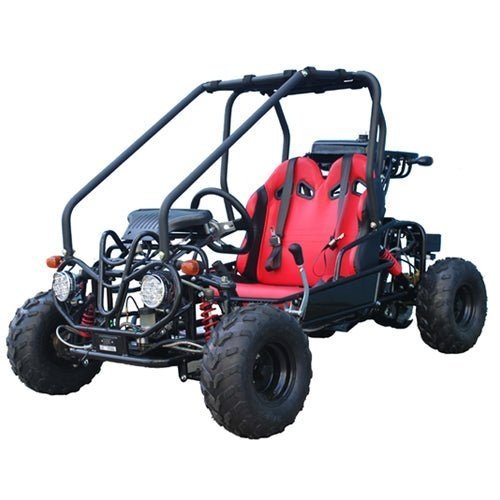 Taotao GK110 Kids Gas Go Kart Dune Buggy-53876