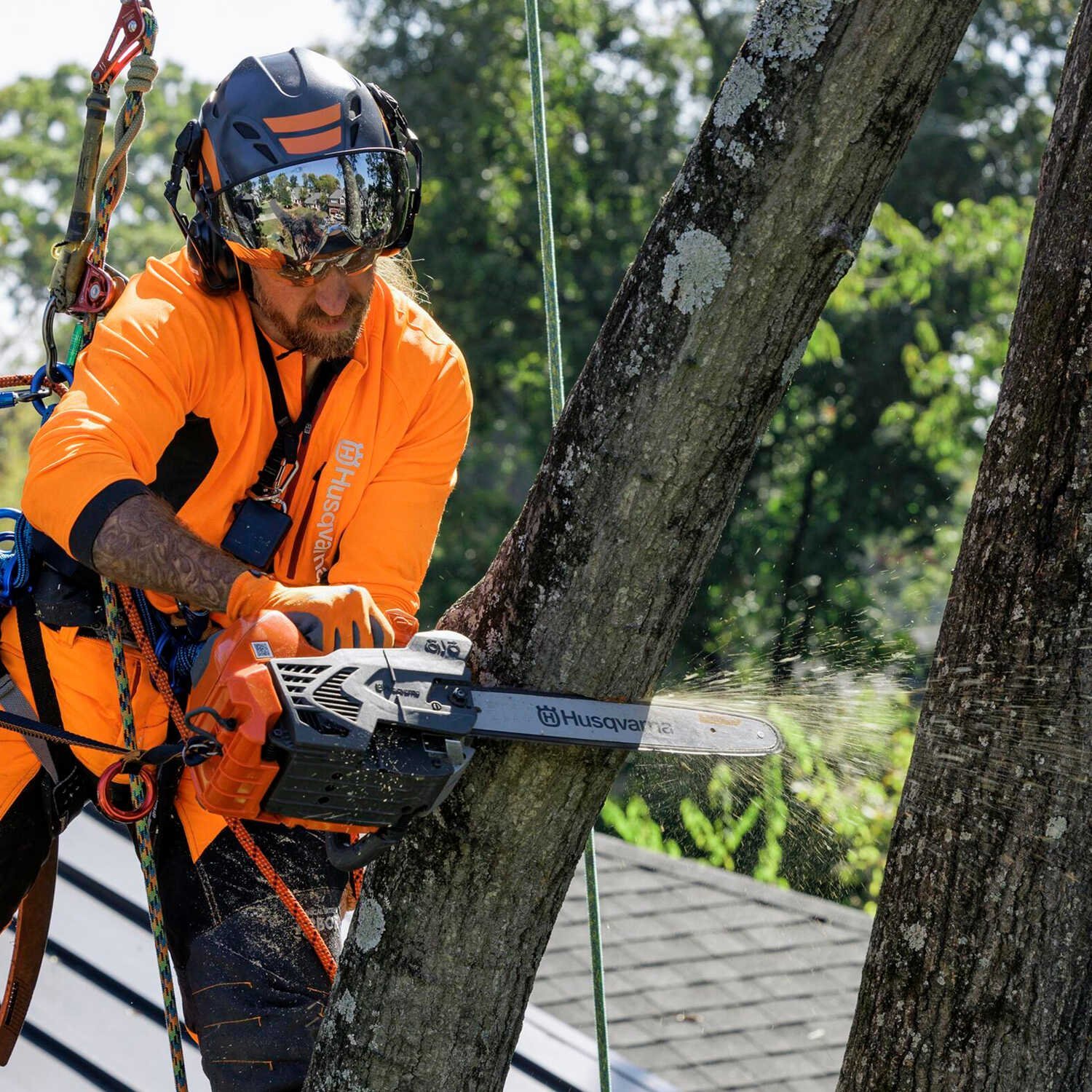 Husqvarna® T540 XP Mark III Top Handle Chainsaws-94128 - Image 6