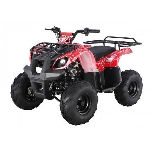 Tao Motor D125 Kids ATVs-19354
