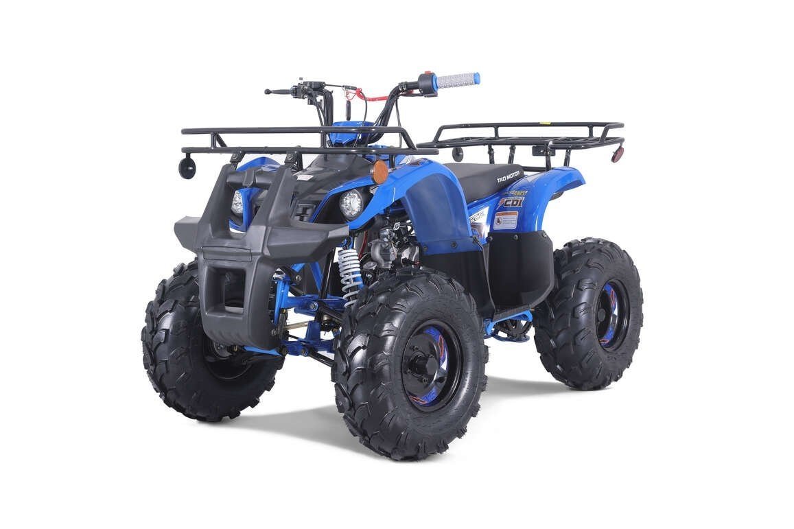 TaoTao T-Force T125 4-Wheeler All-Terrain Vehicle ATV-87687